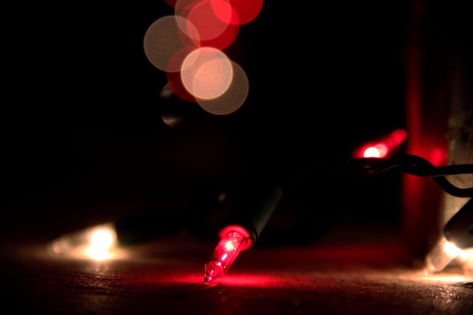 Bulbs, December, Seasons