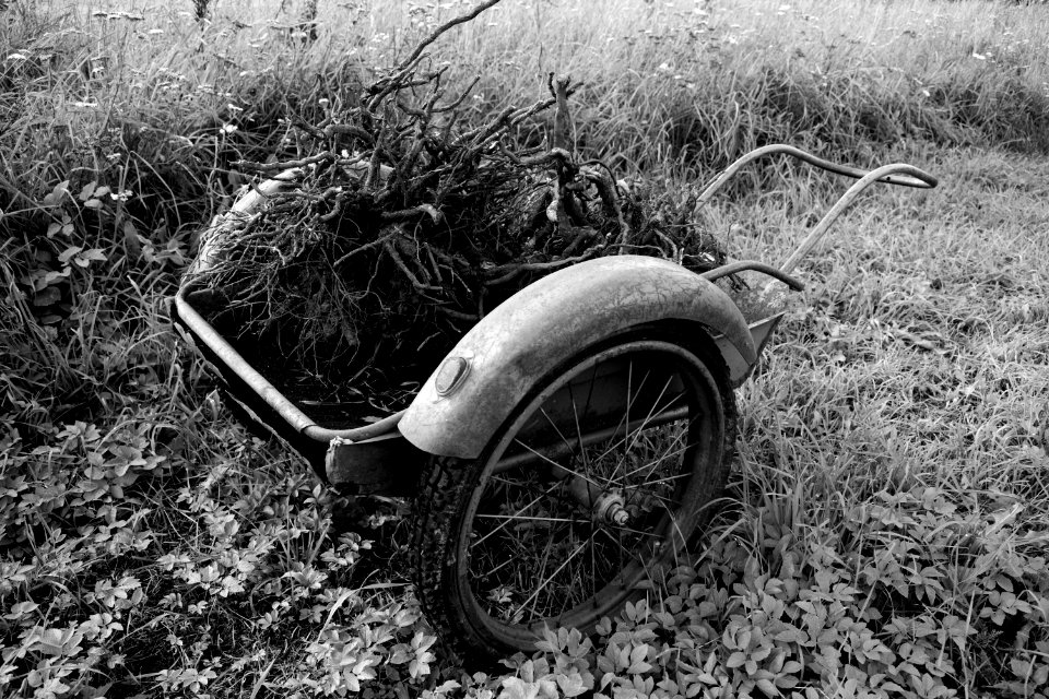 Retro, Root, Wheelbarrow