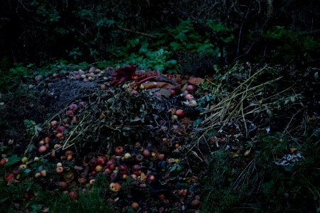 Compost, Leaves, Fall