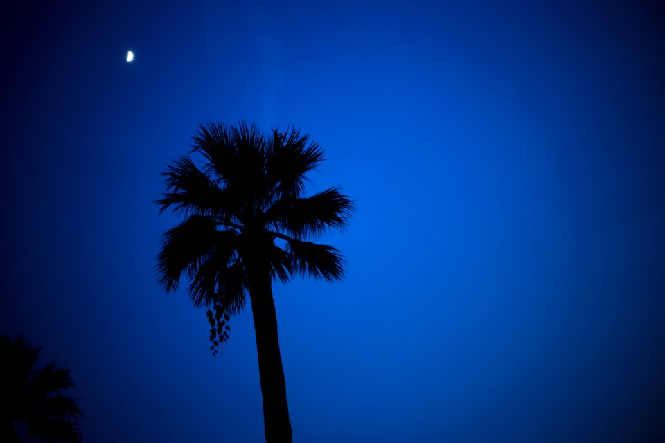 Glendale, United states, Moon
