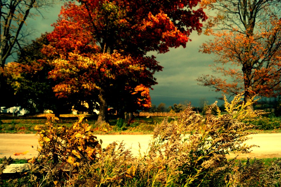 Putnam, Canada, Farm