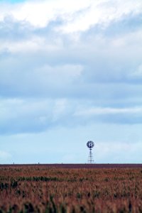Koroitwoolsthorpe road, Woolsthorpe, Australia