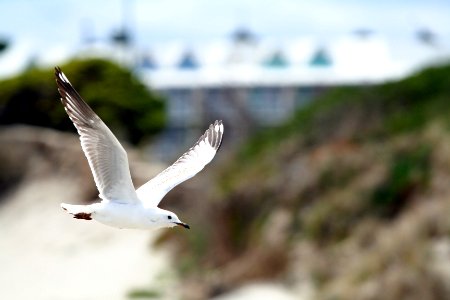 Warrnambool, Breakwater rock pier, Australia