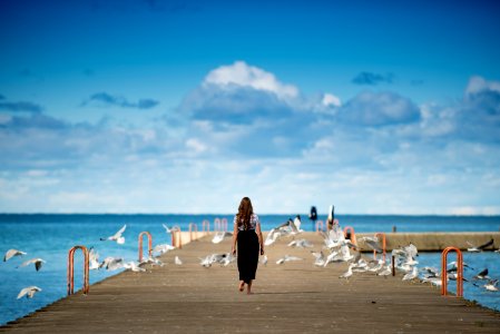 woman standing on a boardwalk surrounded by birds photo