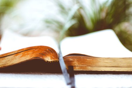 open book on white surface