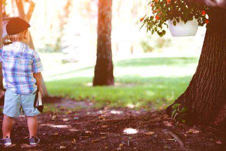 Grass, Child, Blue