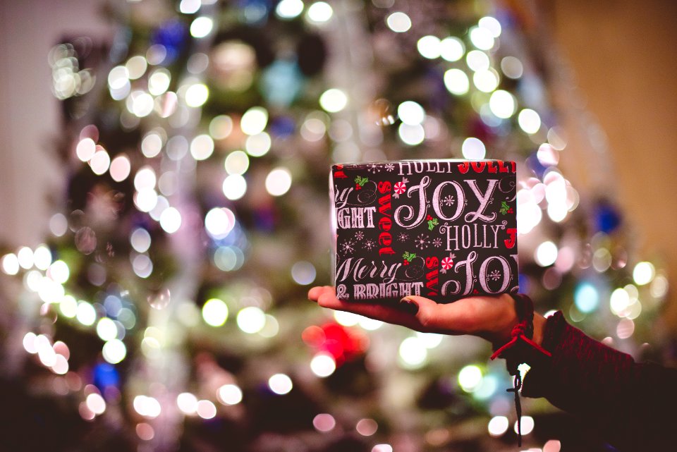 selective focus photography of gift box on person's palm