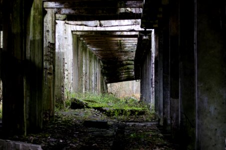 Concrete, Urban, Urbex