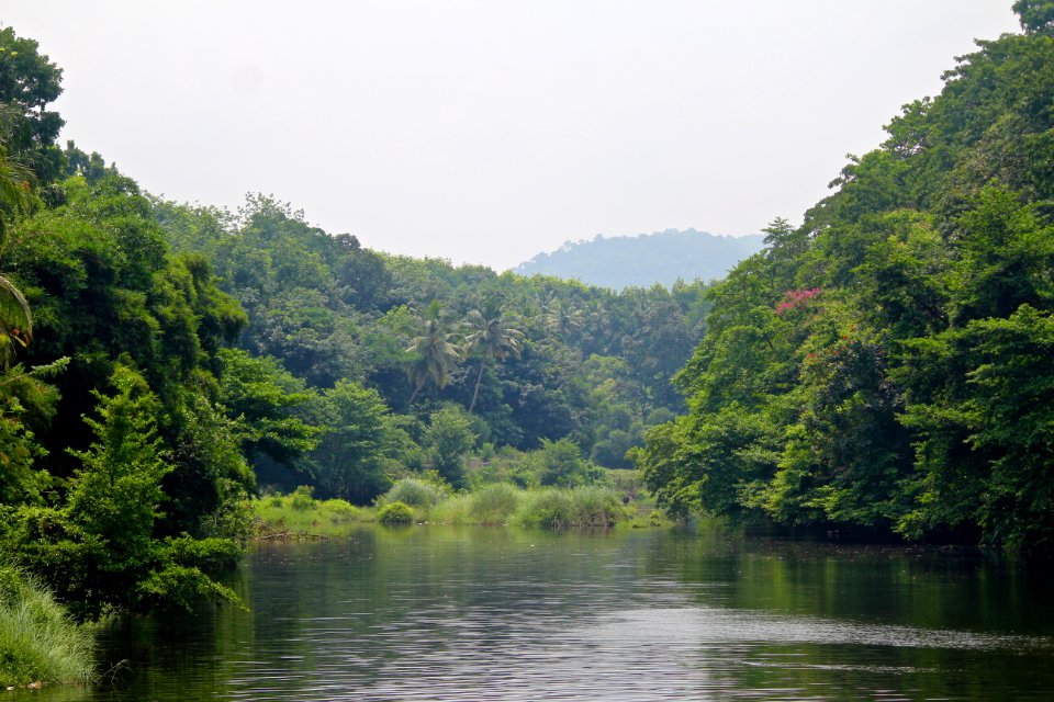 India, Pamba  sabarimala road, Sabarimala
