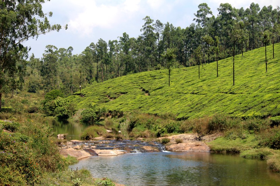 India, Koolangal river, Valparai