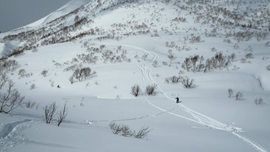 White, Backcountry, Snow