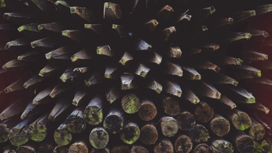 Dark, Wood