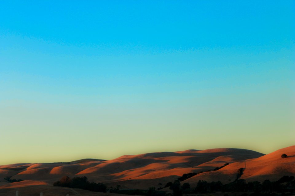 Sonoma, Petaluma, California