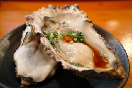 Diet oyster raw oysters photo