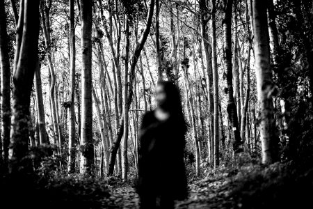 A blurred image of a person standing in the woods.