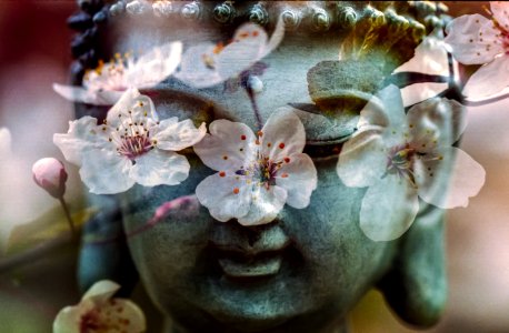 Multiexpo, Buddha, Awareness photo