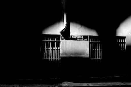 grayscaled photo of steel gates