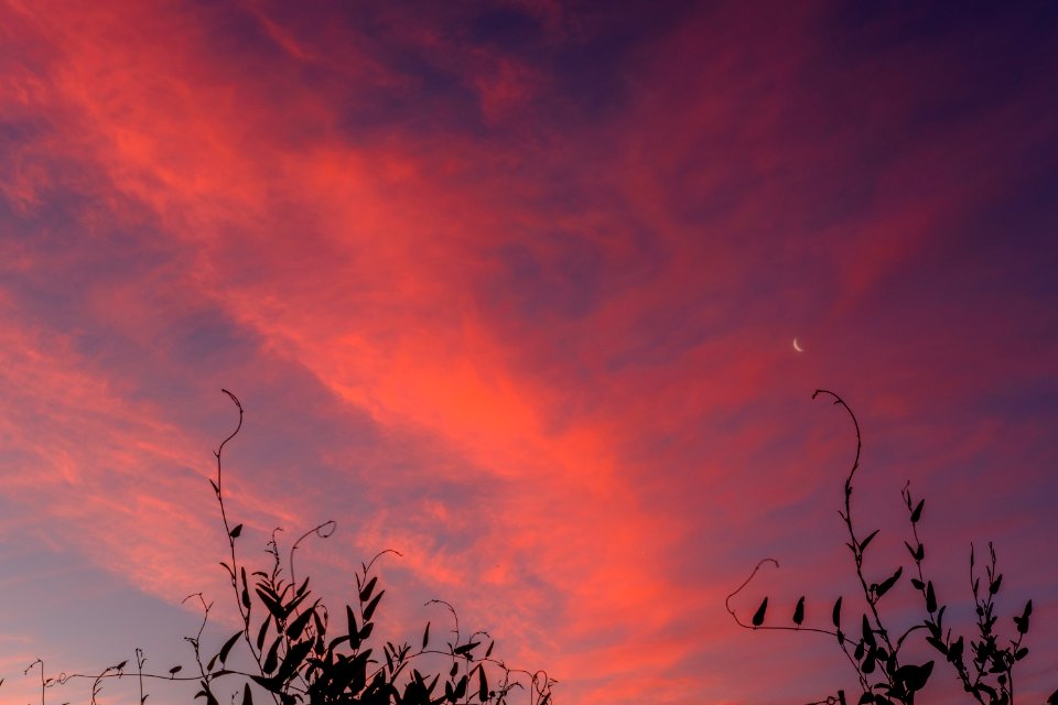 Melbourne, Backyard, Sky