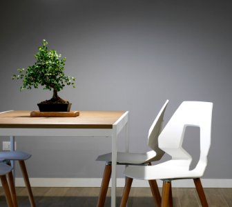 white and brown wooden table and chair set photo