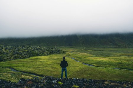 man standing while facing green land