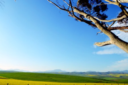 Scape, South africa, Caledon