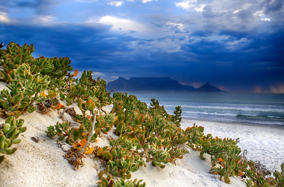 Dolphin beach, Cape town, South africa