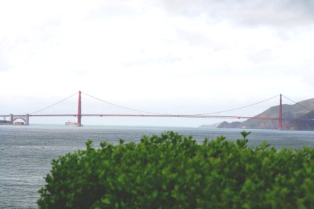 San francisco, United states, Theodysseygirl