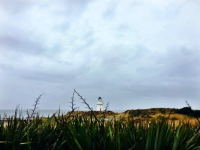 Otara, New zeal, Hills