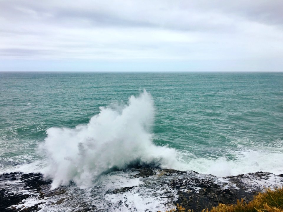 New zeal, Ocean, Curio bay photo