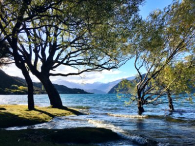New zeal, Lake wanaka, Mountains