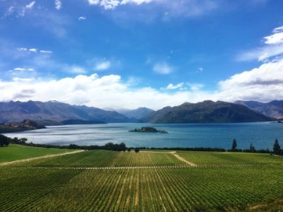 New zeal, Lake wanaka, Cliff