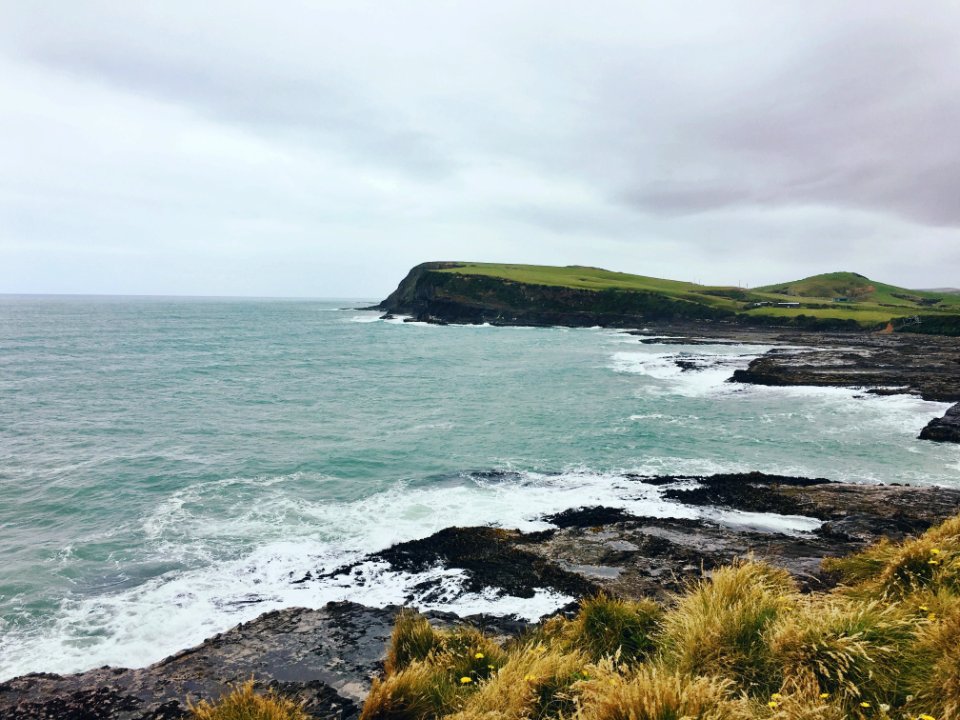 New zeal, Rocks, Surf