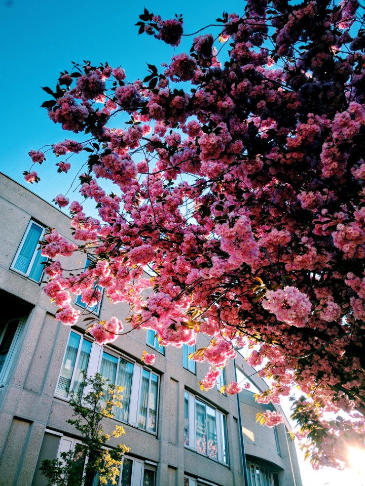 Clermontferr, France