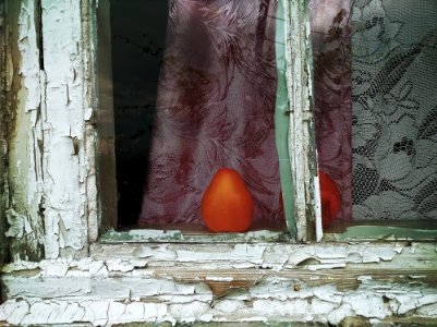 Tolyatti, Russia, Tomato