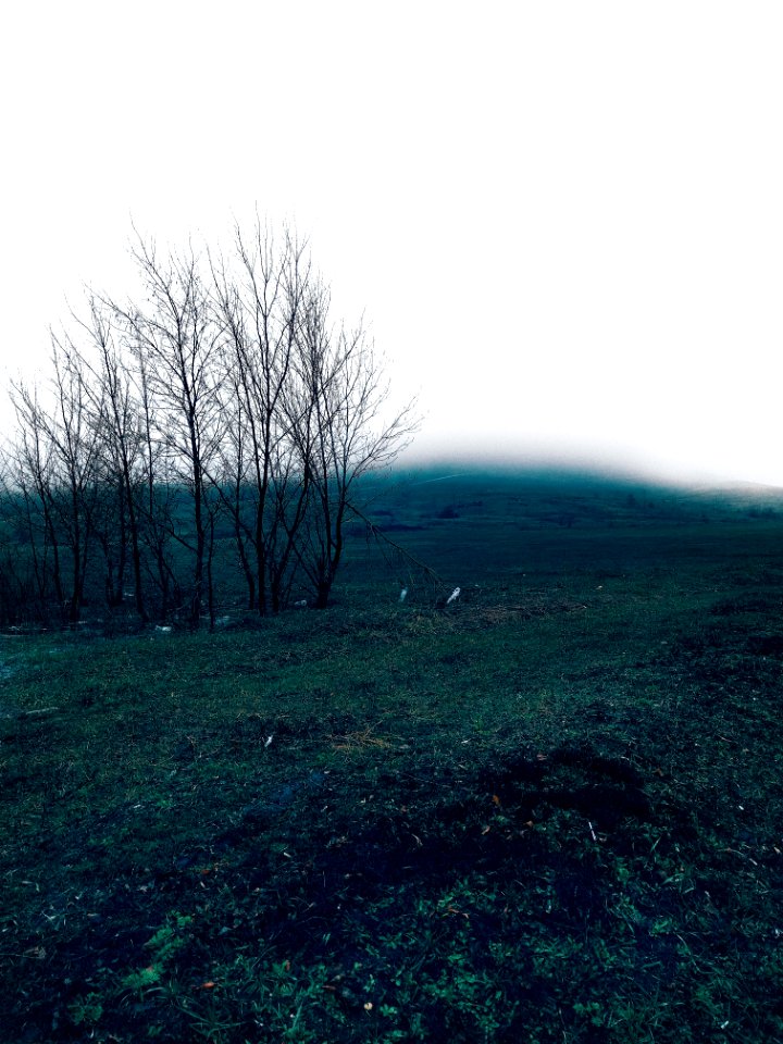 Grey, Green, Nature
