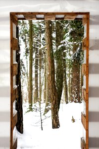 Canon, Photo, Winter
