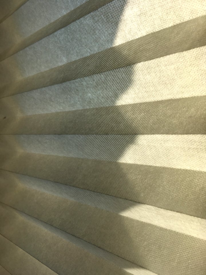 Light, Dark