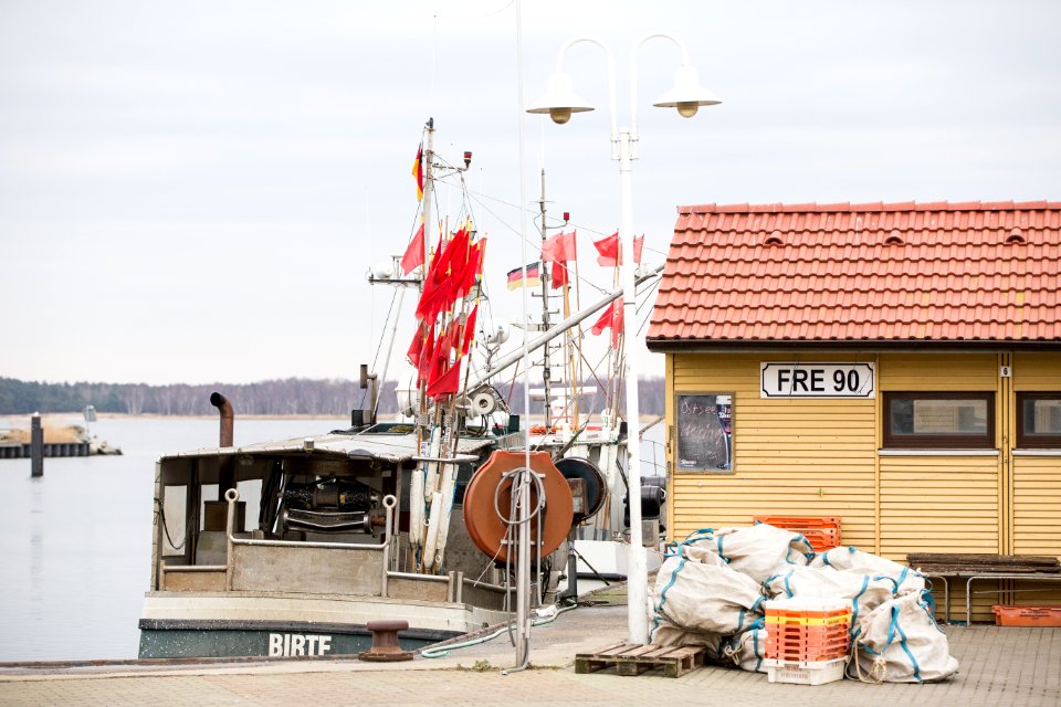 Ship, Harbour, Fish