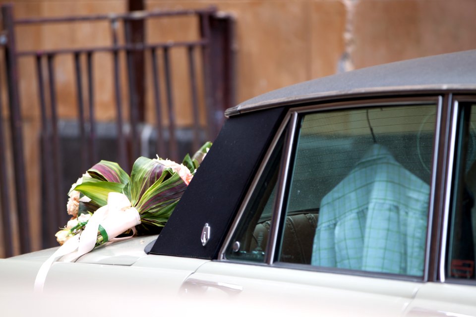 Shirt, Car, Flowers