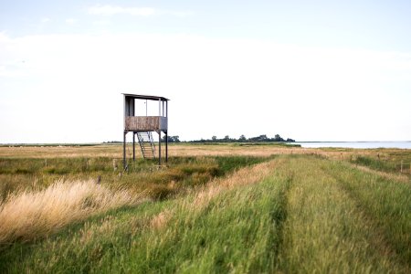 Dike, Water, Observation tower photo