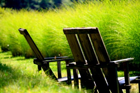 Summer, Innisfree garden, Millbrook