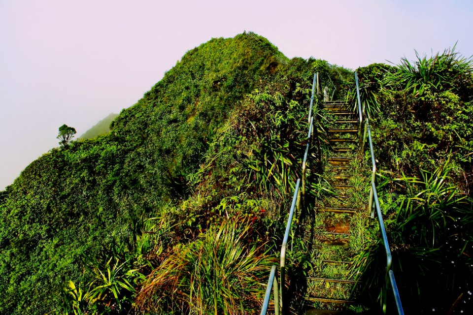 steps going up a hill