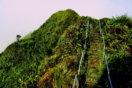 steps going up a hill