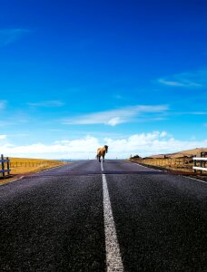 Road highway landscape