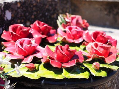 Roses decoration stone jewelry