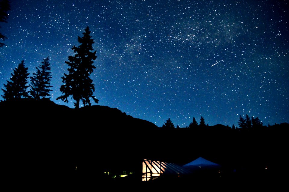 silhouette of mountain and trees under starry sky