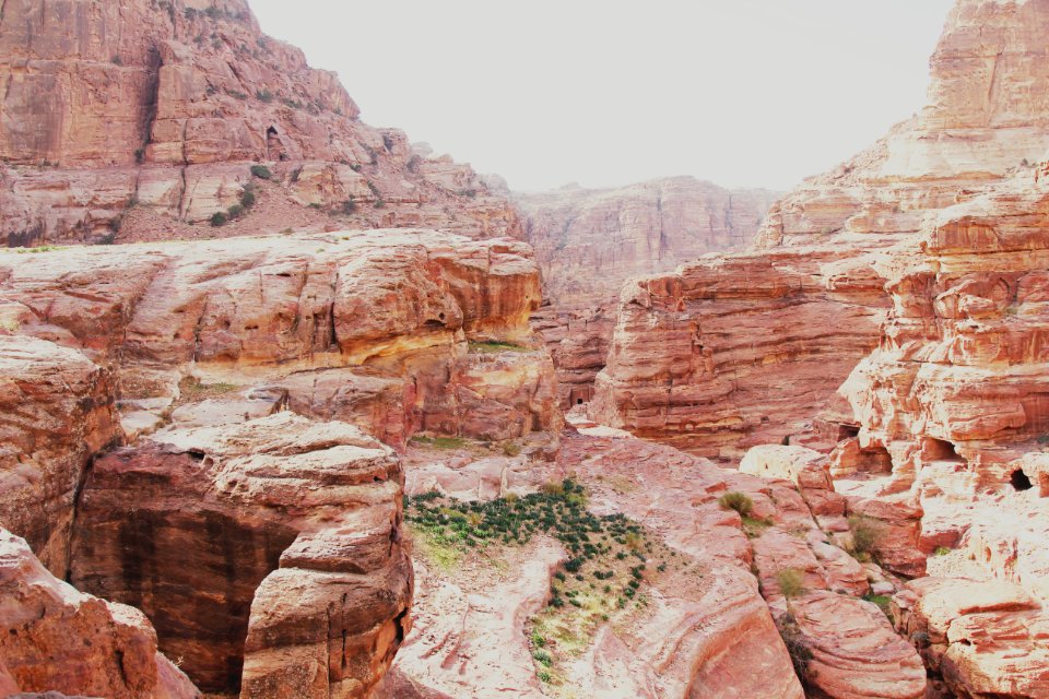 Jordan, Wadi musa, Nature