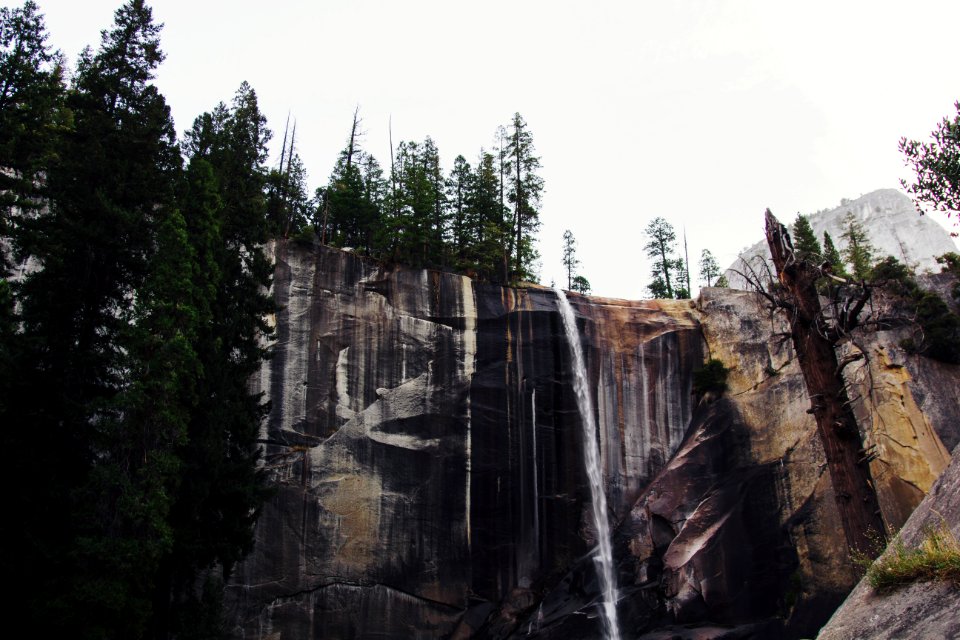 Vernal fall, United states, Trees