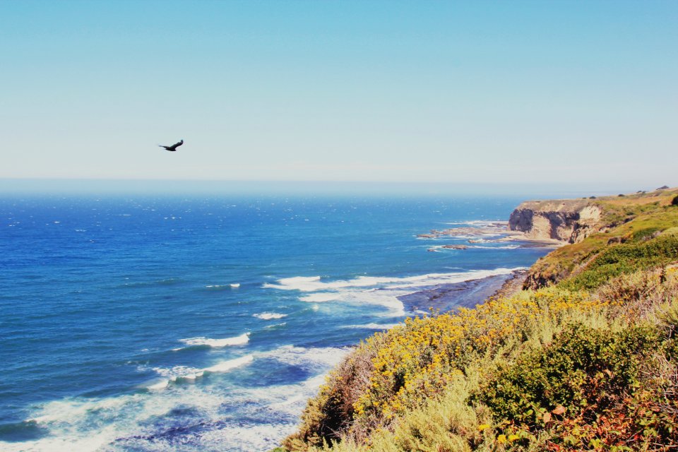 California 1, Mill valley, United states