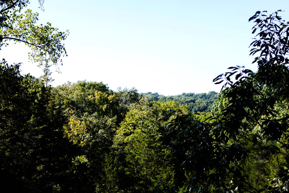 Turkey run state park, Marshall, United states